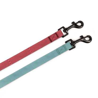 Beach Walk Convertible Pet Leash - Teal