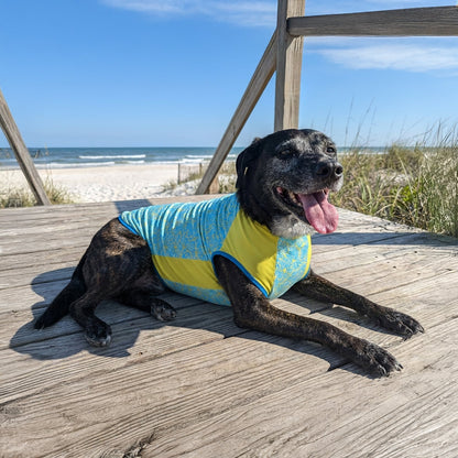 Crystal Cool Pet Cooling Shirt - Blue