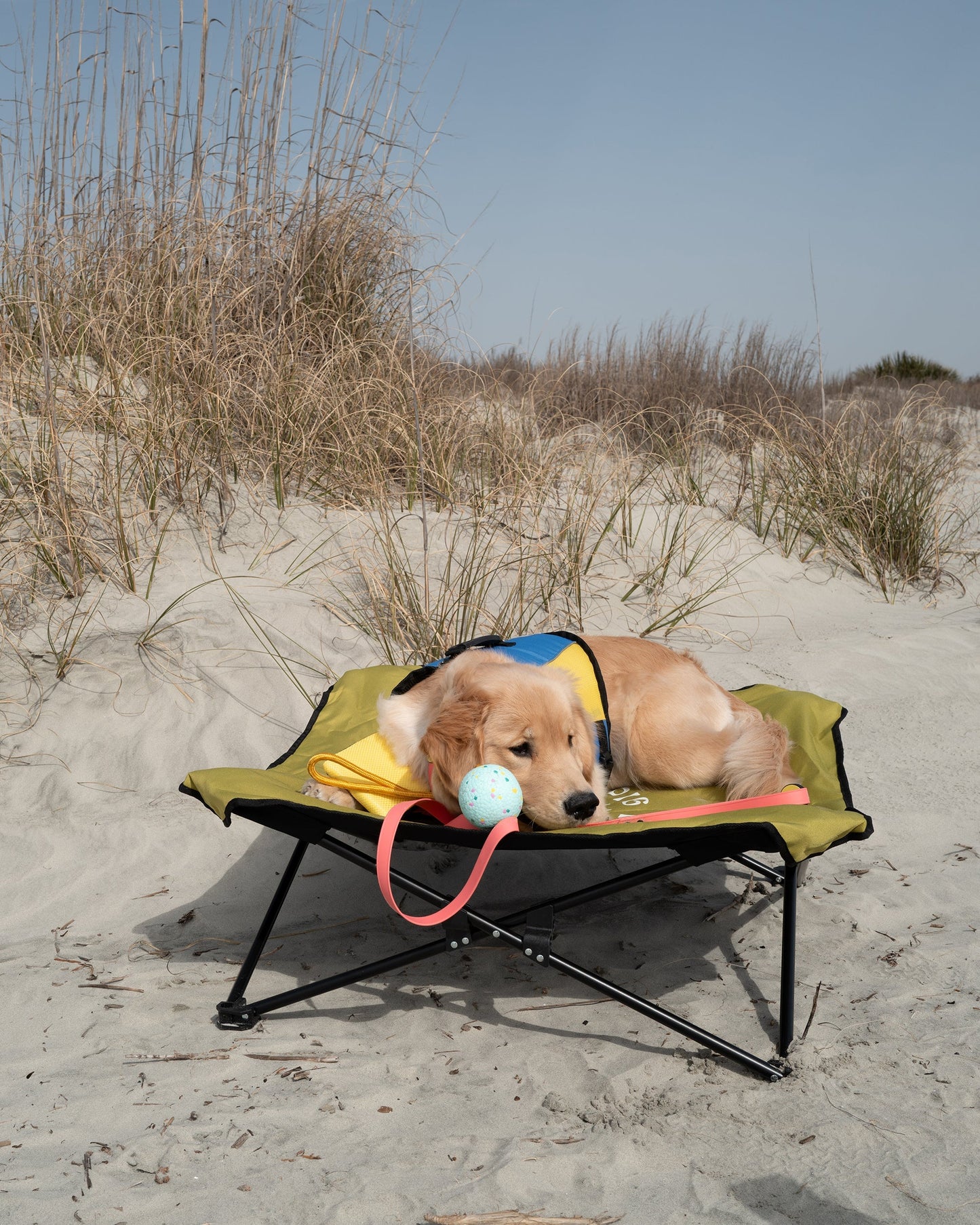 Fold & Go Pet Cot - Lime