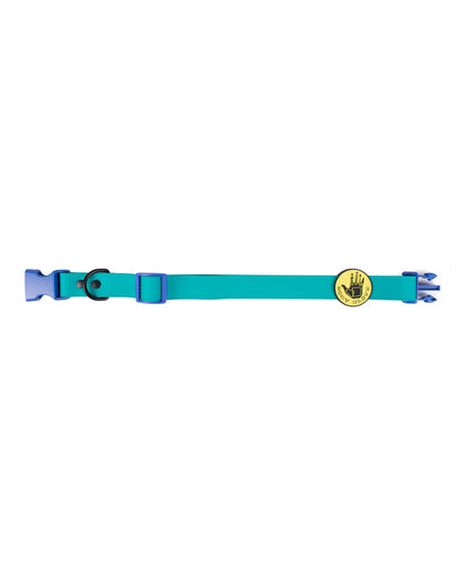 Waterproof Collar - Teal