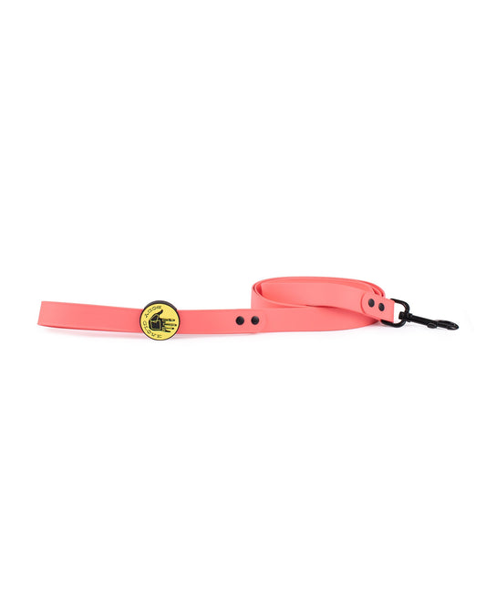 Waterproof Leash - Sunset