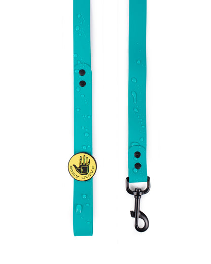Waterproof Leash - Teal