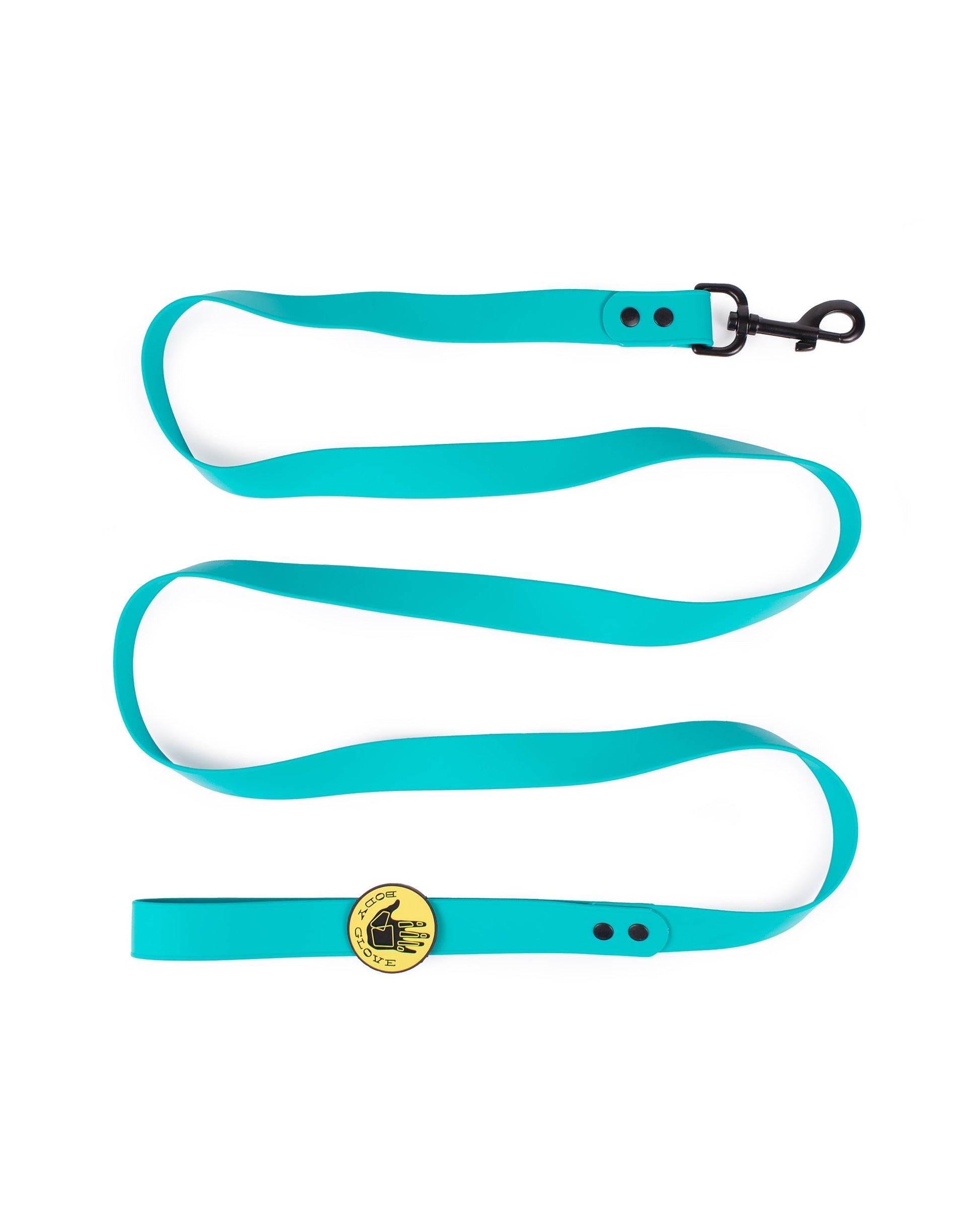 Waterproof Leash - Teal